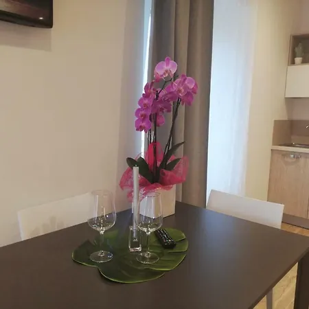 Guest house River 2*